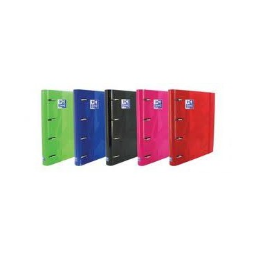 CARPEBLOC A4 4A CUADRO 5MM 100H CLASICO colores variados